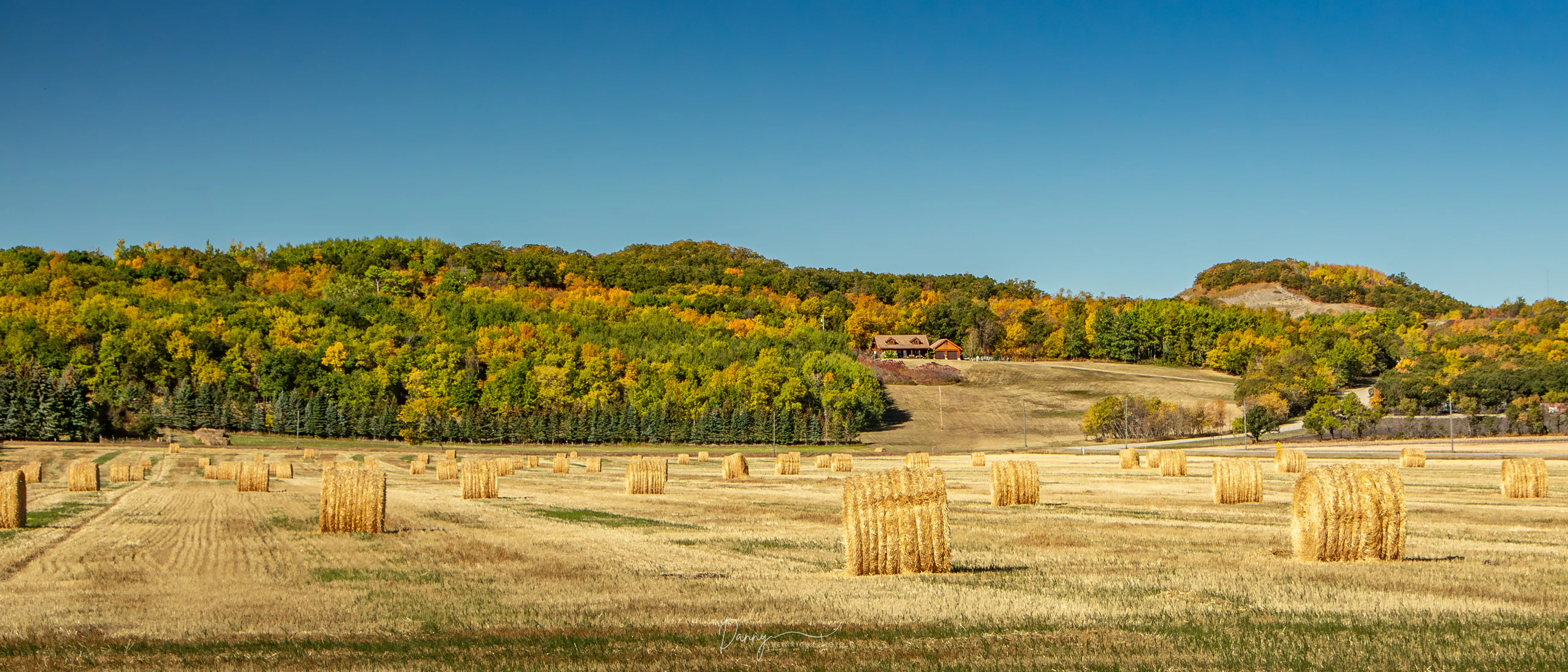 Landscape